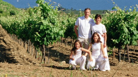 Bodegas-ALTA-ALELLA 1