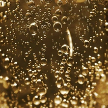 Bio Prosecco Schaumwein Prosecco, Sekt, Champagner, Schaumwein