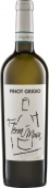 Pinot Grigio Venezia DOC 2025 Terra Musa (im 6er Karton) 