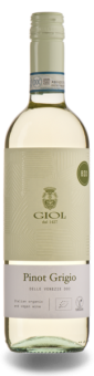 GIOL Pinot Grigio delle Venezie 2023 (im 6er Karton) 