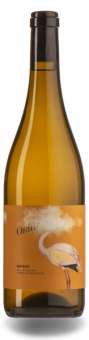 Entre Vinyes Oniric Brisat Old Vines Xarello 2023 (im 6er Karton) 