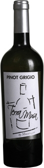 Pinot Grigio Venezia DOC 2022 Terra Musa (im 6er Karton) 