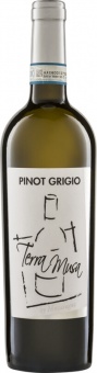 Pinot Grigio Venezia DOC 2025 Terra Musa (im 6er Karton) 