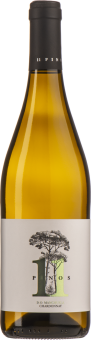 Vega Tolosa 11Pinos Chardonnay 2024 (im 6er Karton) 