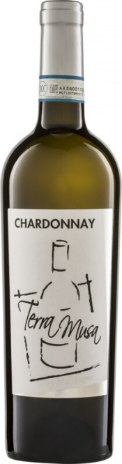 Chardonnay Venezia DOC 2025 Terra Musa (im 6er Karton) 