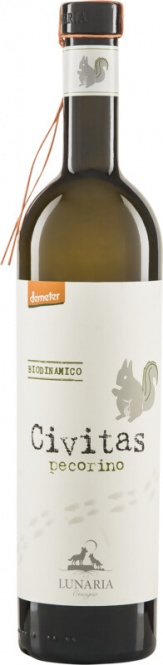 Pecorino Civitas Terre di Chieti IGP 2024 Lunaria (im 6er Karton) 