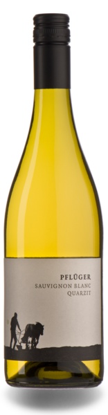 Pflüger Sauvignon Blanc Quarzit 2023 (im 6er Karton) 