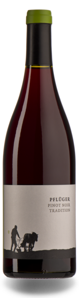 Pflüger Pinot Noir Tradition 2023 (im 6er Karton) 