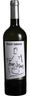 Pinot Grigio Venezia DOC 2023 Terra Musa (im 6er Karton) 