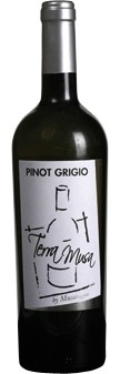 Pinot Grigio Venezia DOC 2022 Terra Musa (im 6er Karton)