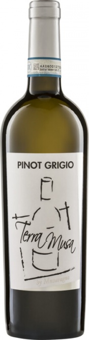 Pinot Grigio Venezia DOC 2025 Terra Musa (im 6er Karton) 