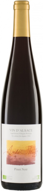Pinot Noir Alsace AOC 2022 Stentz (im 6er Karton) 