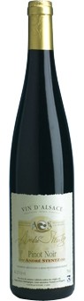 Pinot Noir Alsace AOC 2020 Stentz (im 6er Karton) 