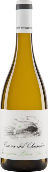 Sauvignon Blanc CUEVA DEL CHAMÁN Almansa D.O. 2025 Santa Cruz de Alpera (im 6er Karton) 