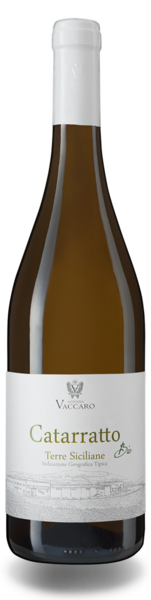Azienda Vaccaro Catarratto 2023 (im 6er Karton) 
