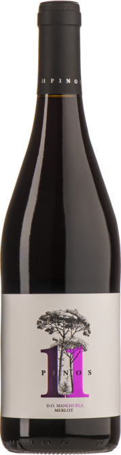 Vega Tolosa 11Pinos Merlot 2021 (im 6er Karton) 